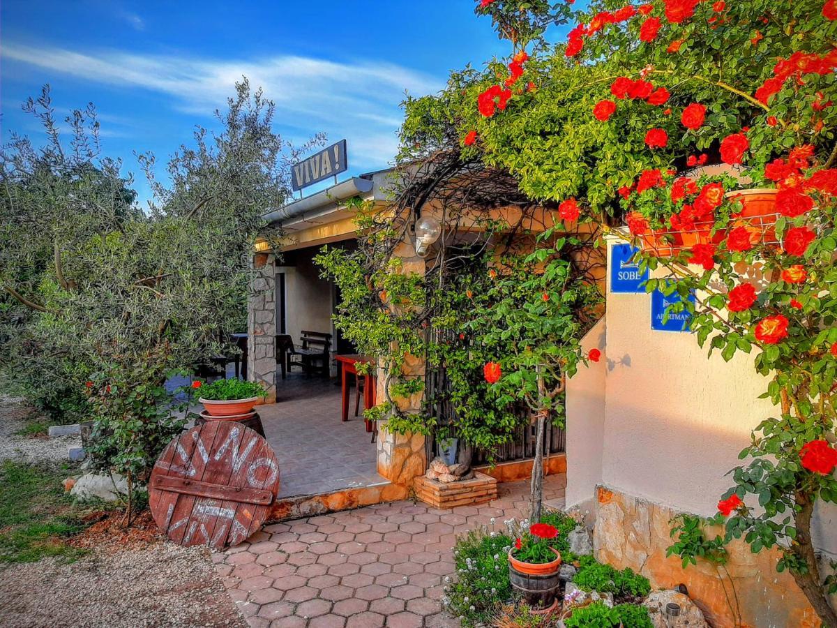 Ferienwohnung Viva Molindrio Poreč Exterior foto