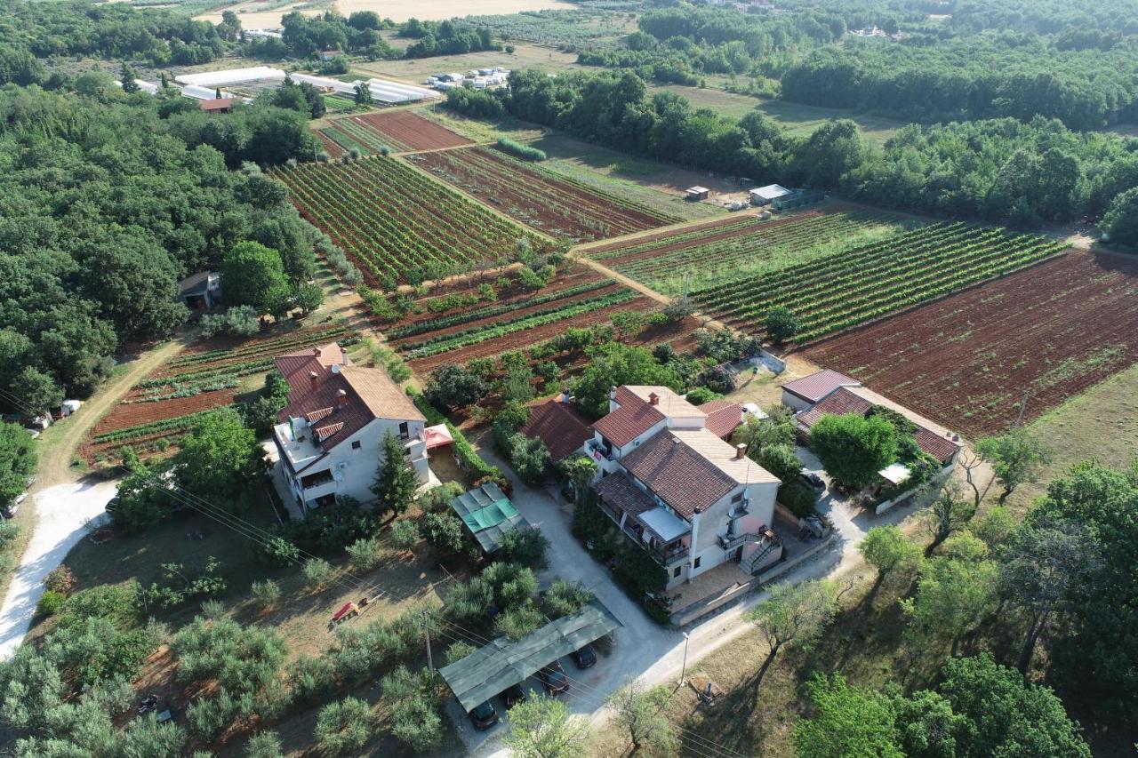 Ferienwohnung Viva Molindrio Poreč Exterior foto